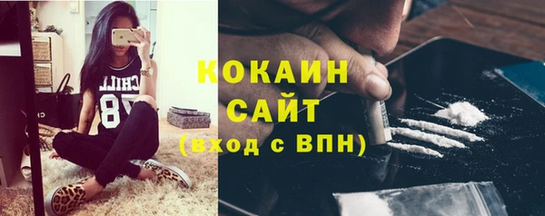крисы Сосновка