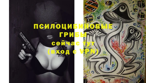гидропоника Верея